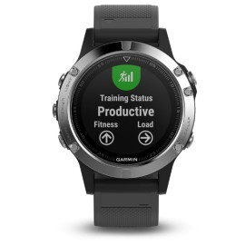 Часы Garmin Fenix 5 в аренду