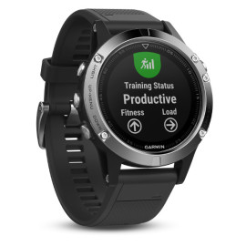 Часы Garmin Fenix 5 в аренду