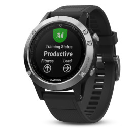 Часы Garmin Fenix 5 в аренду