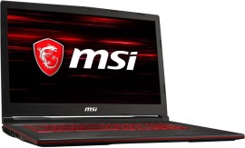 Ноутбук MSI GL73 i7-8750H 16Gb 256Gb-SSD 1000Gb в аренду